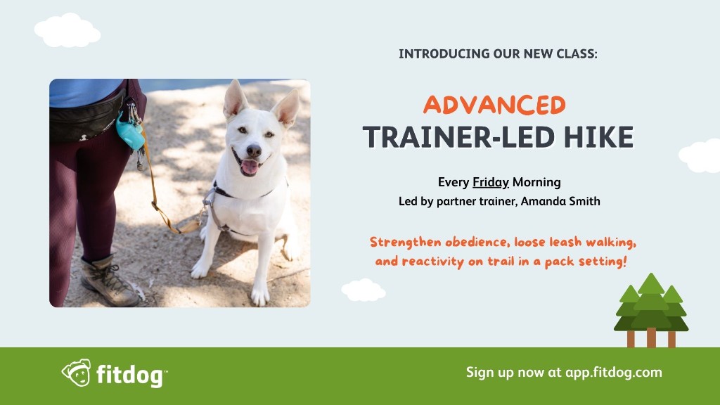 Advanced trainer-led hike class