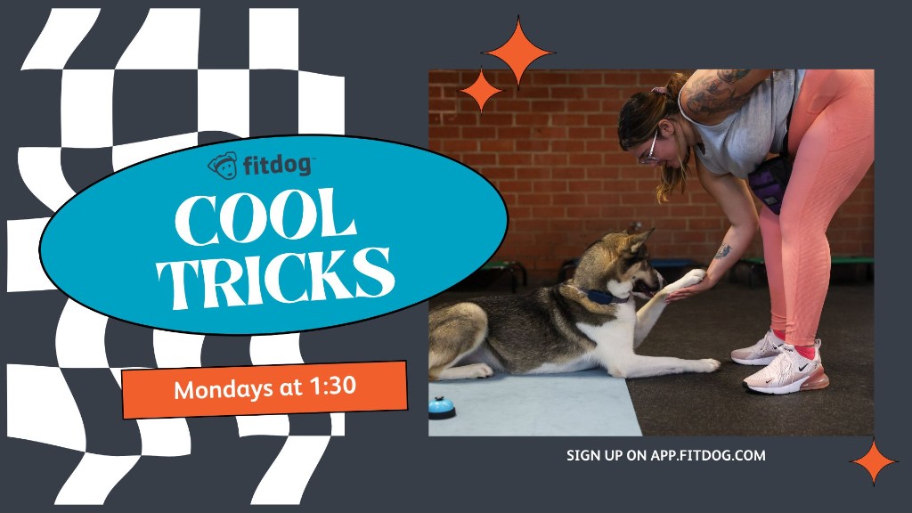 Cool Tricks training class