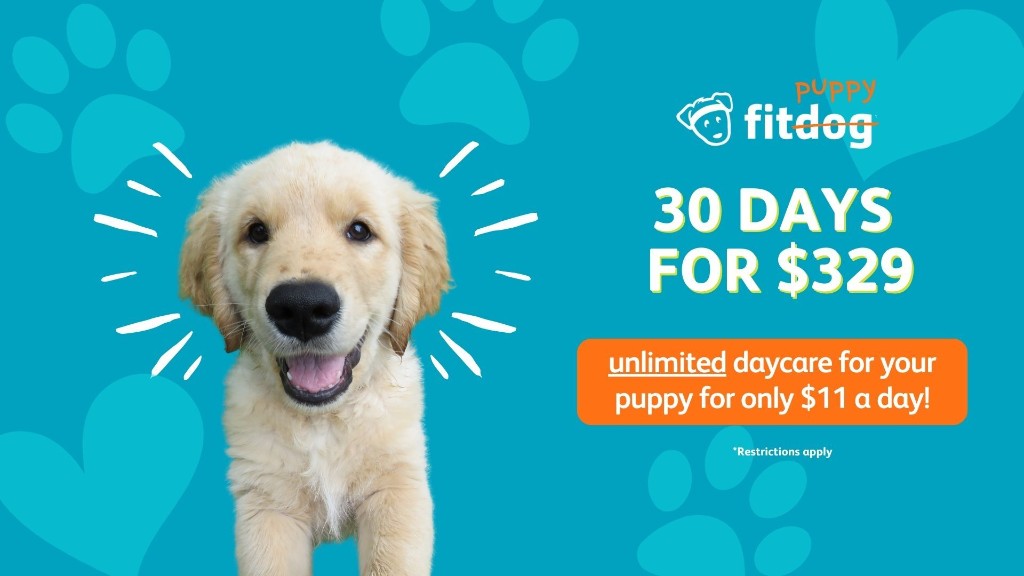Puppy Fitdog 30 day offer