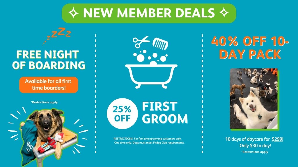 New member deals