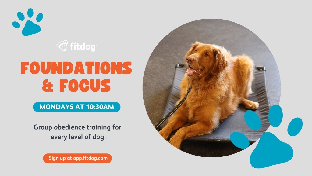 Foundations and Focus training class