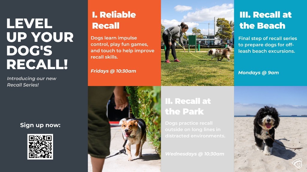 Recall series training classes