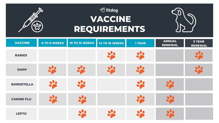 Vaccine requirements schedule